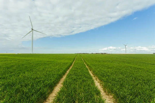 Turbinas eólicas de uma usina para geração de eletricidade na Normandia, França. Conceito de fontes de energia renováveis. Paisagem ensolarada. Produção de electricidade respeitadora do ambiente. Tonificado — Fotografia de Stock