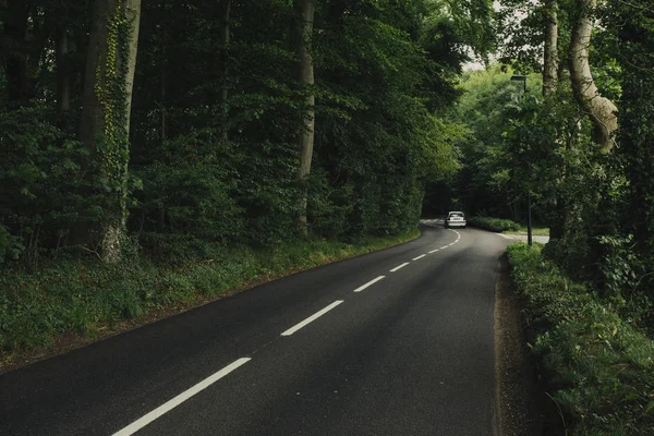 Пустая сельская асфальтовая дорога, проходящая через зеленый лес в регионе Нормандии, Франция. Природа, сельский ландшафт, транспорт и дорожная сеть . — стоковое фото