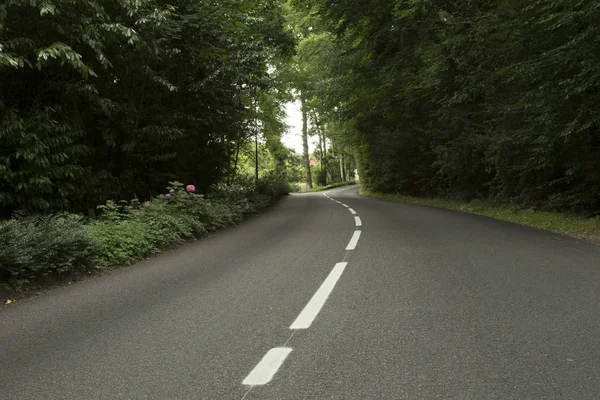 Empty country asphalt road passing through the green forest in the region of Normandy, France. Nature, countryside landscape, transportation and road network concept. — Stock Photo, Image