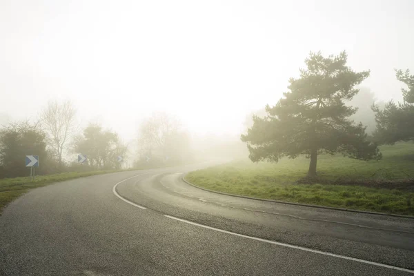 Ormanın içinden geçen eğimli yol sisli asfalt. Normandy, Fransa bölgedeki düşük görünürlük ile hava durumu. Ülke manzara sisli gün. Tonda