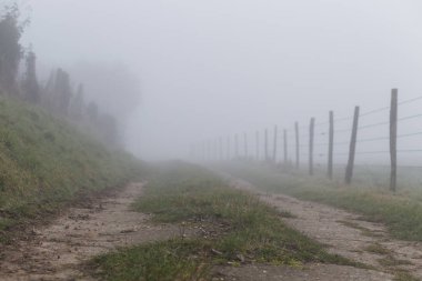 Toprak ülke yol orman ve alanları Normandy, Fransa bölgesinde geçiyor. Kırsal manzara sisli gün. Tonda
