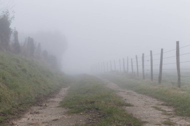 Toprak ülke yol orman ve alanları Normandy, Fransa bölgesinde geçiyor. Kırsal manzara sisli gün. Tonda