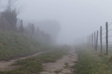 Toprak ülke yol orman ve alanları Normandy, Fransa bölgesinde geçiyor. Kırsal manzara sisli gün. Tonda