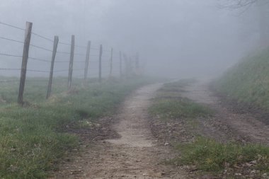 Toprak ülke yol orman ve alanları Normandy, Fransa bölgesinde geçiyor. Kırsal manzara sisli gün. Tonda