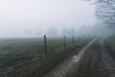 Toprak ülke yol orman ve alanları Normandy, Fransa bölgesinde geçiyor. Kırsal manzara sisli gün. Tonda