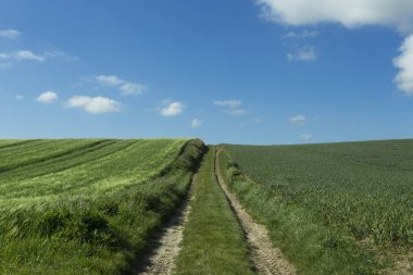Tarım alanları ve güneşli bir bahar günü çiftlik yolda Normandy, Fransa için. Kırsal manzara. Çevre dostu tarım ve Sanayi tarım kavramı