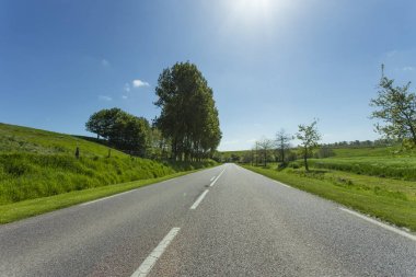Yeşil ve çiçekli tarım alanları geçerken boş asfalt köy yolunda. Fransa'da bir güneşli bahar gününde kırsal manzara. Çevre dostu tarım, sanayi tarım kavramı