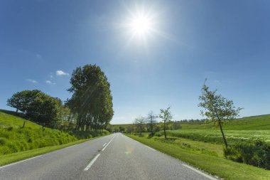 Yeşil ve çiçekli tarım alanları geçerken boş asfalt köy yolunda. Fransa'da bir güneşli bahar gününde kırsal manzara. Çevre dostu tarım, sanayi tarım kavramı