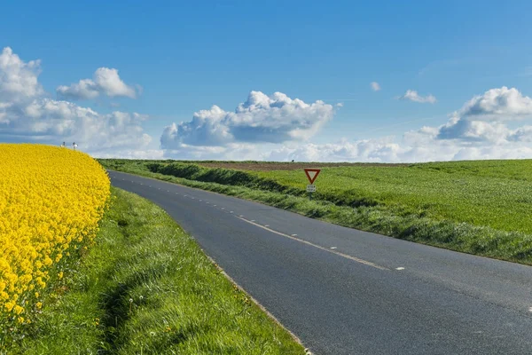 Prázdná země asfaltové silnici procházející zelené a kvetoucí zemědělských polí. Venkovské krajiny na slunný jarní den v regionu Normandie, Francie — Stock fotografie