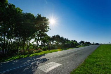 Empty asphalt country road passing through green fields and forests. Countryside landscape on sunny spring day in France. Sunbeams in the sky. Transport, industrial agriculture, road network concept clipart