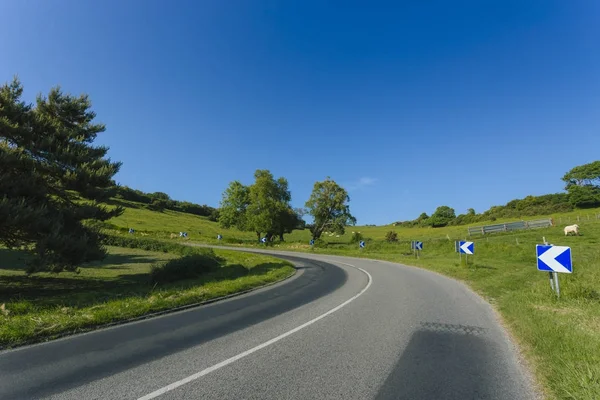 Empty asphalt curvy road passing through green fields. Countryside landscape on a bright sunny day in Normandy, France. Transport, industrial agriculture, holiday and road network concept. — Stock Photo, Image