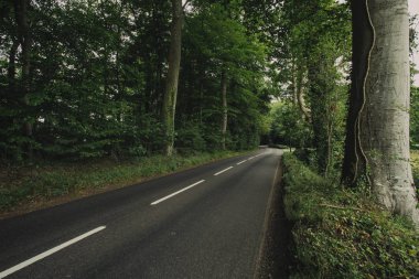 Normandy, Fransa bölgenin yeşil ormanda geçen boş ülke asfalt yol. Doğa, kırsal manzara, ulaşım ve yol ağ konsepti.
