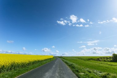 Yeşil ve çiçekli tarım alanları geçerken boş ülke asfalt yol. Normandy, Fransa için bir güneşli bahar gününde kırsal manzara