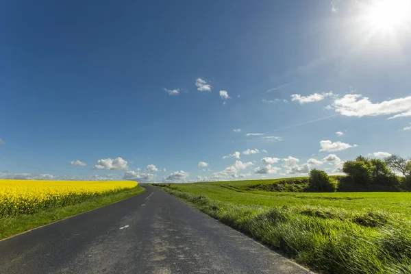 Пустая асфальтовая дорога проходит через зеленые и цветущие сельскохозяйственные поля. Деревенский пейзаж в солнечный весенний день в Нормандии, Франция — стоковое фото