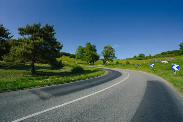 Empty asphalt curvy road passing through green fields and forests. Countryside landscape on a sunny spring day in France. Sunbeams in the sky. Transport, industrial agriculture, road network concept — Stock Photo, Image