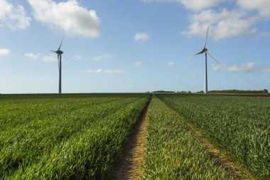 Yel değirmenleri elektrik enerjisi üretim Normandy, Fransa için tarım alanları için. Yenilenebilir enerji kaynakları, endüstriyel tarım kavramı. Çevre dostu elektrik üretimi. Tonda