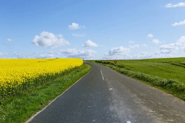 Prázdná země asfaltové silnici procházející zelené a kvetoucí zemědělských polí. Venkovské krajiny na slunný jarní den v regionu Normandie, Francie — Stock fotografie