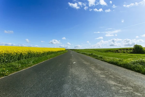 Prázdná země asfaltové silnici procházející zelené a kvetoucí zemědělských polí. Venkovské krajiny na slunný jarní den v regionu Normandie, Francie — Stock fotografie