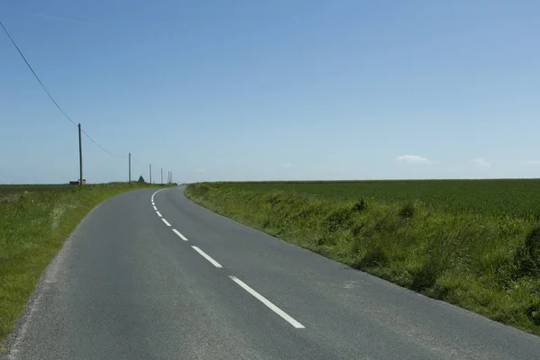 Empty asphalt country road passing through green agricultural fields. Countryside landscape on a sunny spring day in France. Environment friendly farming, industrial agriculture, road network concept — Stock Photo, Image