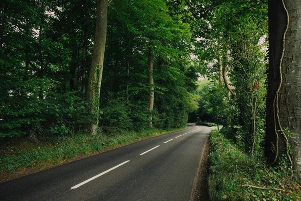 Camino de asfalto del país vacío que pasa a través del bosque verde en la región de Normandía, Francia. Naturaleza, paisaje rural, transporte y concepto de red vial —  Fotos de Stock