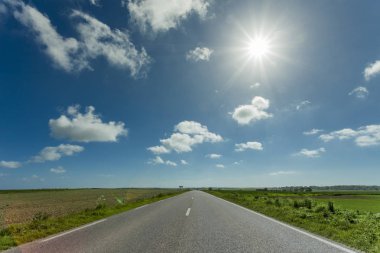 Yeşil ve çiçekli tarım alanları geçerken boş asfalt köy yolunda. Fransa'da bir güneşli bahar gününde kırsal manzara. Çevre dostu tarım, sanayi tarım kavramı