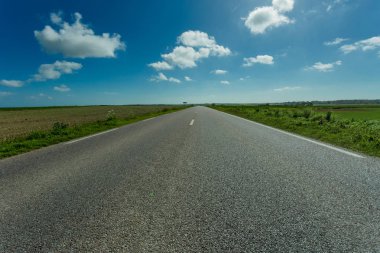 Yeşil ve çiçekli tarım alanları geçerken boş asfalt köy yolunda. Fransa'da bir güneşli bahar gününde kırsal manzara. Çevre dostu tarım, sanayi tarım kavramı