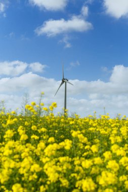 Yel değirmenleri için elektrik çiçekli kolza tohumu alan Fransa arkasında. Güneşli bir günde tarım manzara. Çevre dostu elektrik üretimi, yenilenebilir enerji kavramı