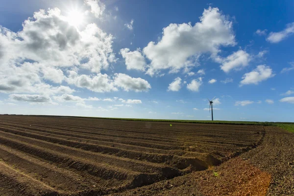 Mulini a vento per la produzione di energia elettrica in campi agricoli in Normandia, Francia. Fonti energetiche rinnovabili, concetto di agricoltura industriale. Produzione di elettricità rispettosa dell'ambiente. Tonica — Foto Stock