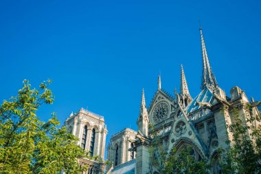 Notre-Dame de Paris, Seine Nehri güneşli bir iskele üzerinde ünlü antik Katolik Katedrali. Fransa'nın turistik tarihi ve mimari landmark. Din, turizm ve seyahat kavramı.