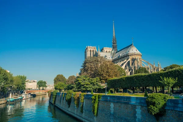 Notre-Dame de Paris, famosa catedral católica antigua en el muelle del río Sena en un día soleado. Monumento histórico y arquitectónico turístico en Francia. Concepto de religión, turismo y viajes . — Foto de Stock