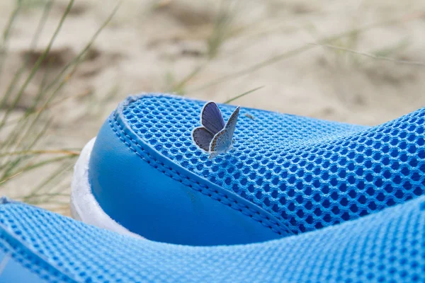 Butterfly sitting on sneakers blue color in the desert. — Stock Photo, Image