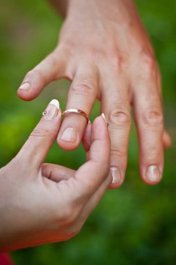 Düğün. Yüzük alışverişi.