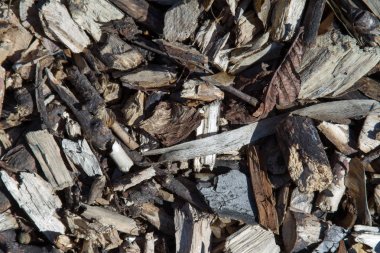 Talaş arka plan skeç ile