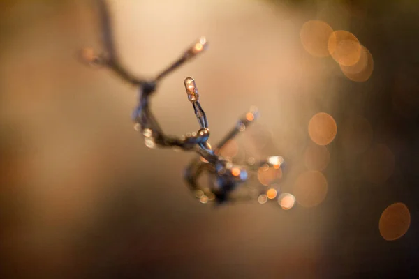 Weihnachtsdeko auf abstraktem Hintergrund, Vintage-Filter. — Stockfoto