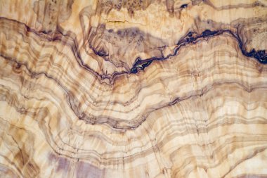 Zeytin ağacı ahşap dilim doku ve ayrıntıları ile