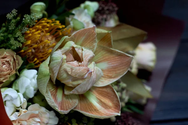 어두운 배경에서 선택적으로 집중하는 빈티지 스타일의 파스텔 색상의 꽃다발을 섬세하게 감싼다 — 스톡 사진