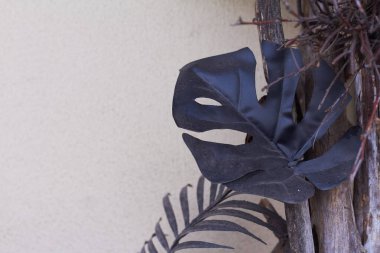 Canavar siyah yaprakları ve tropikal dekorlar bir ışık duvarına karşı, moda iç mekan ayrıntıları