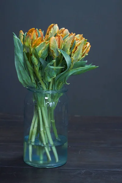 Still life Bouquet of yellow unblown tulips in a glass vase on a dark background, selective focus — Stock Photo, Image