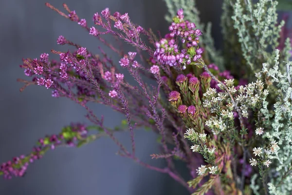 Primer plano escaparate de la tienda de flores con flores exóticas, enfoque selectivo — Foto de Stock