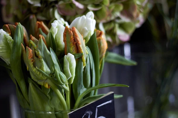 Close-up flor loja janela com flores exóticas, foco seletivo — Fotografia de Stock