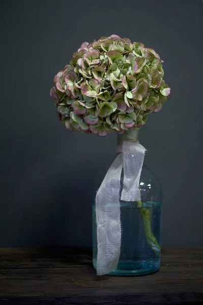 Photo of a huge hydrangea in a glass bottle with a beige ribbon on a dark background, selective focus — Stock Photo, Image