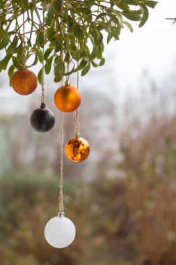 Yeni yıl ya da Noel arkaplanı, beyaz ve altın noel balolarına yakın çekim ve bulanık arka planda ökseotu, seçici odaklanma