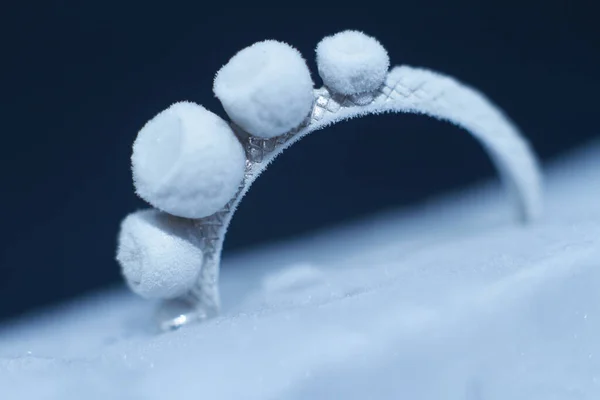 Anillo de plata de cerca congelado en un trozo de hielo, foto sobre un fondo negro, enfoque selectivo — Foto de Stock