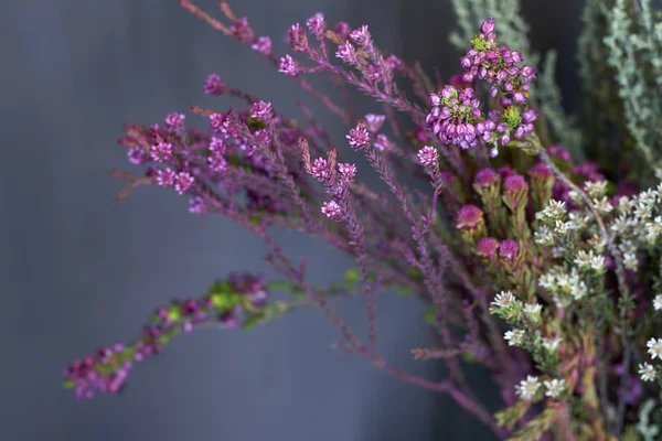 Nahaufnahme Blumengeschäft mit exotischen Blumen, selektiver Fokus — Stockfoto