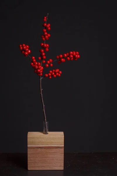 Holly branch with red berries in a wooden vase on a dark background, selective focus — Stock Photo, Image