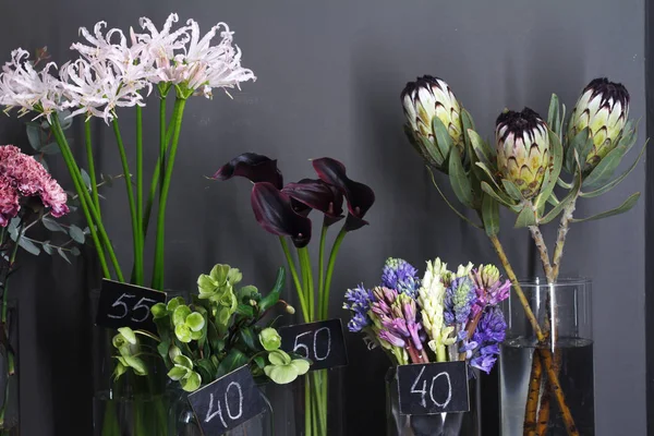 Close-up flor loja janela com flores de tulipa, foco seletivo — Fotografia de Stock
