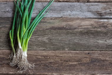 Eski pürüzlü ahşap yüzey, sağlıklı beslenme kavramı, seçici odak genç soğan Demet