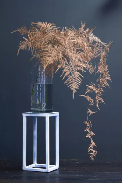 Branch asparagus fern or asparagus setaceus painted in gold in a glass vase on a metal geometric stand, festive background or concept