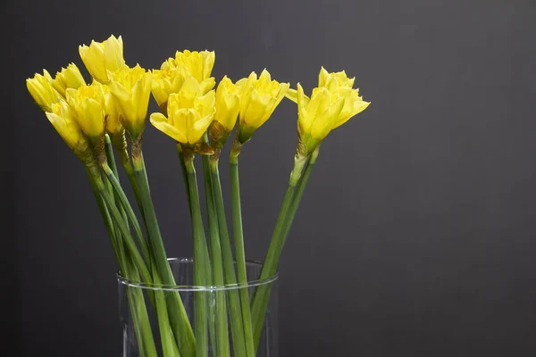 Vaso di vetro con narcisi gialli su un tavolo di legno scuro, sfondo saluto o concetto — Foto Stock