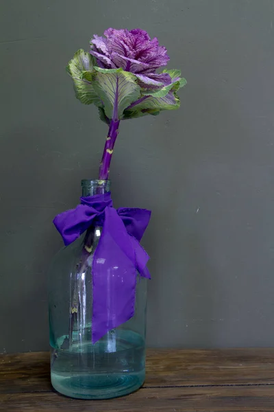 Brassica Oleracea Capitata or decorative cabbage in a glass vase with a purple ribbon on a grey background, greeting card or concept — Stock Photo, Image